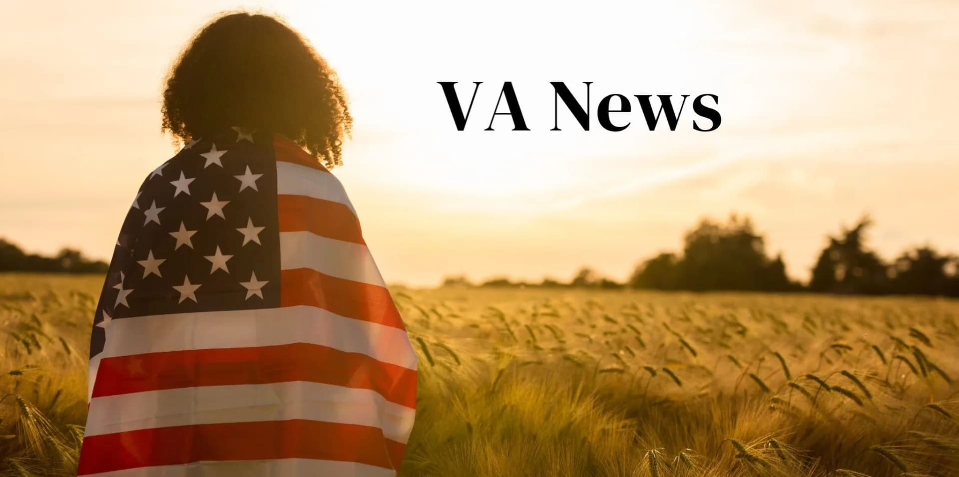 Veterans August Web Header