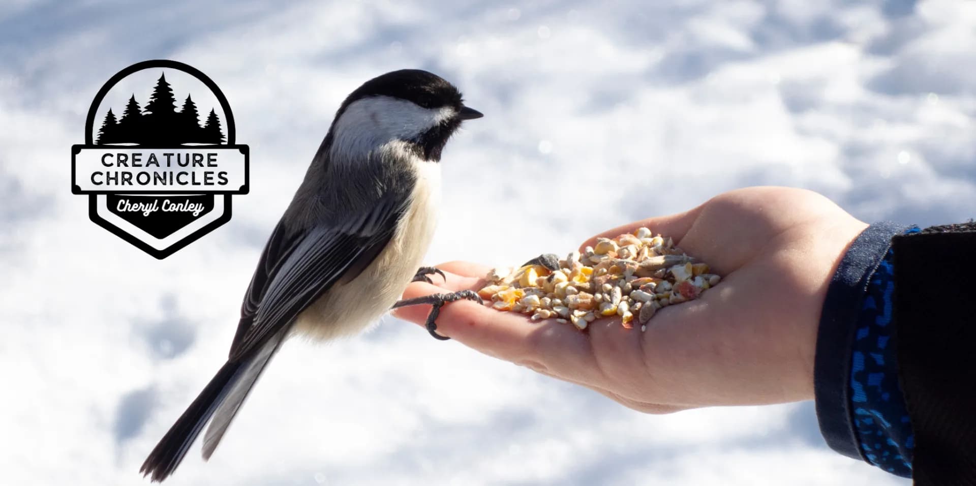 Feb creature chronicles 24 Header 2
